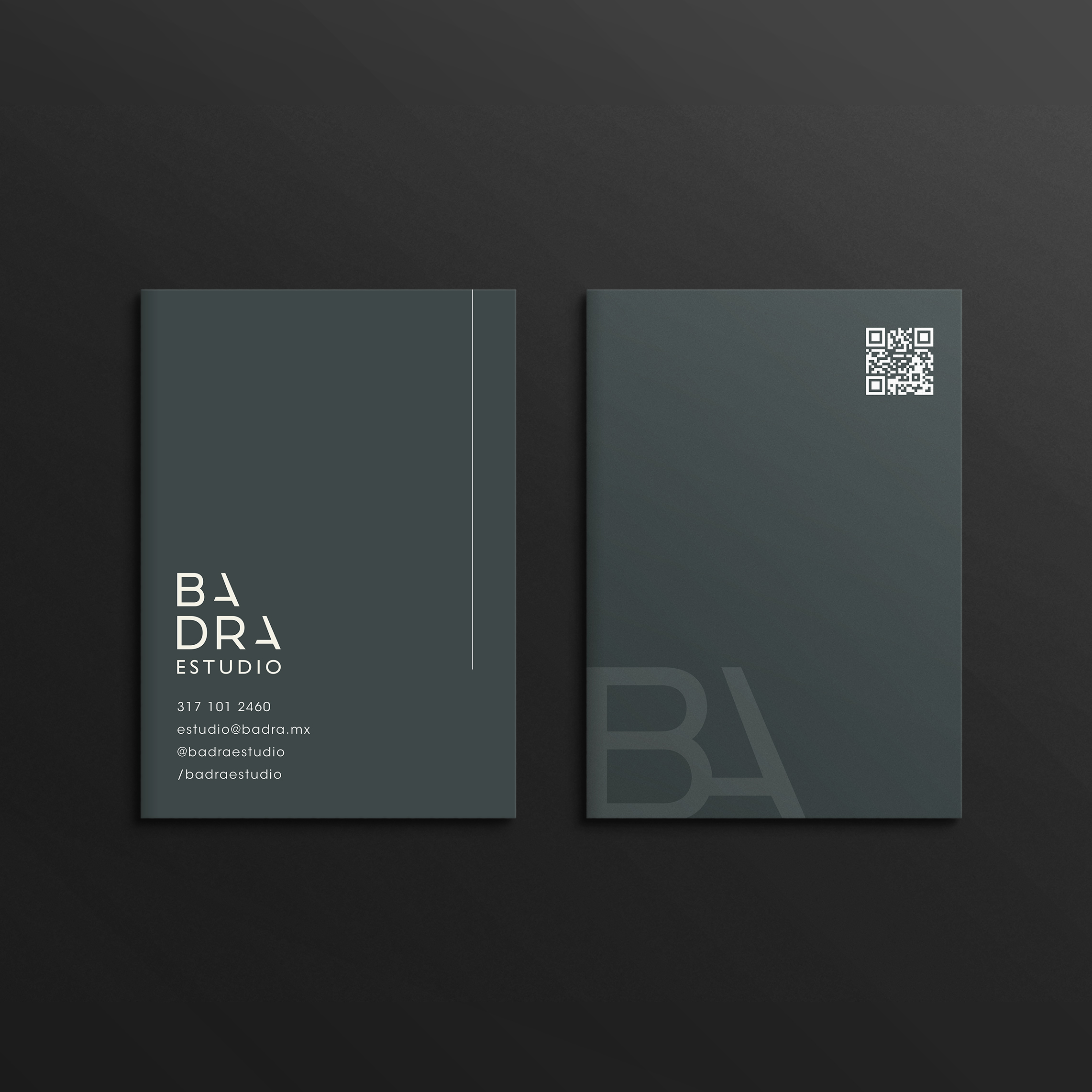 Proyecto Badra