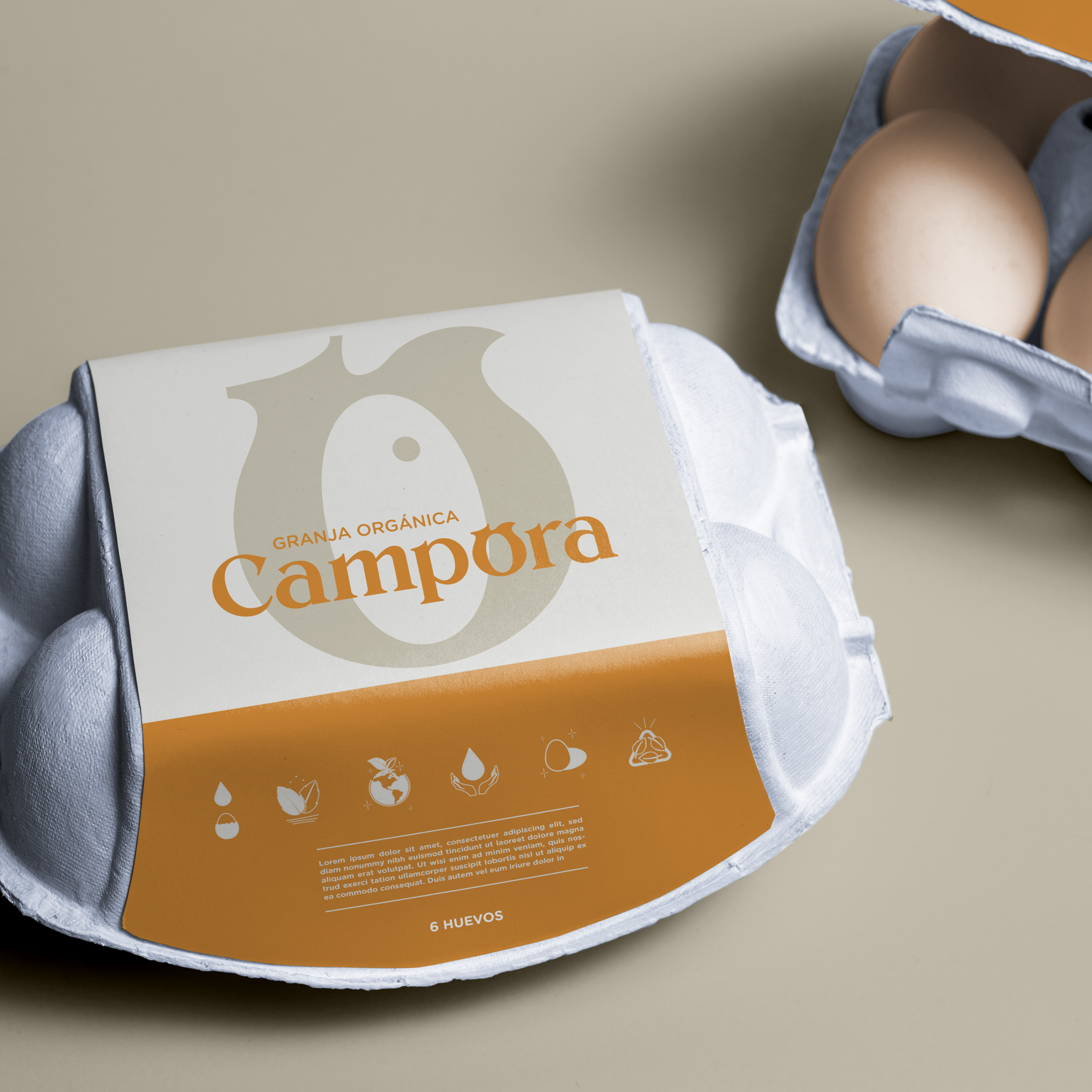 Proyecto Campora