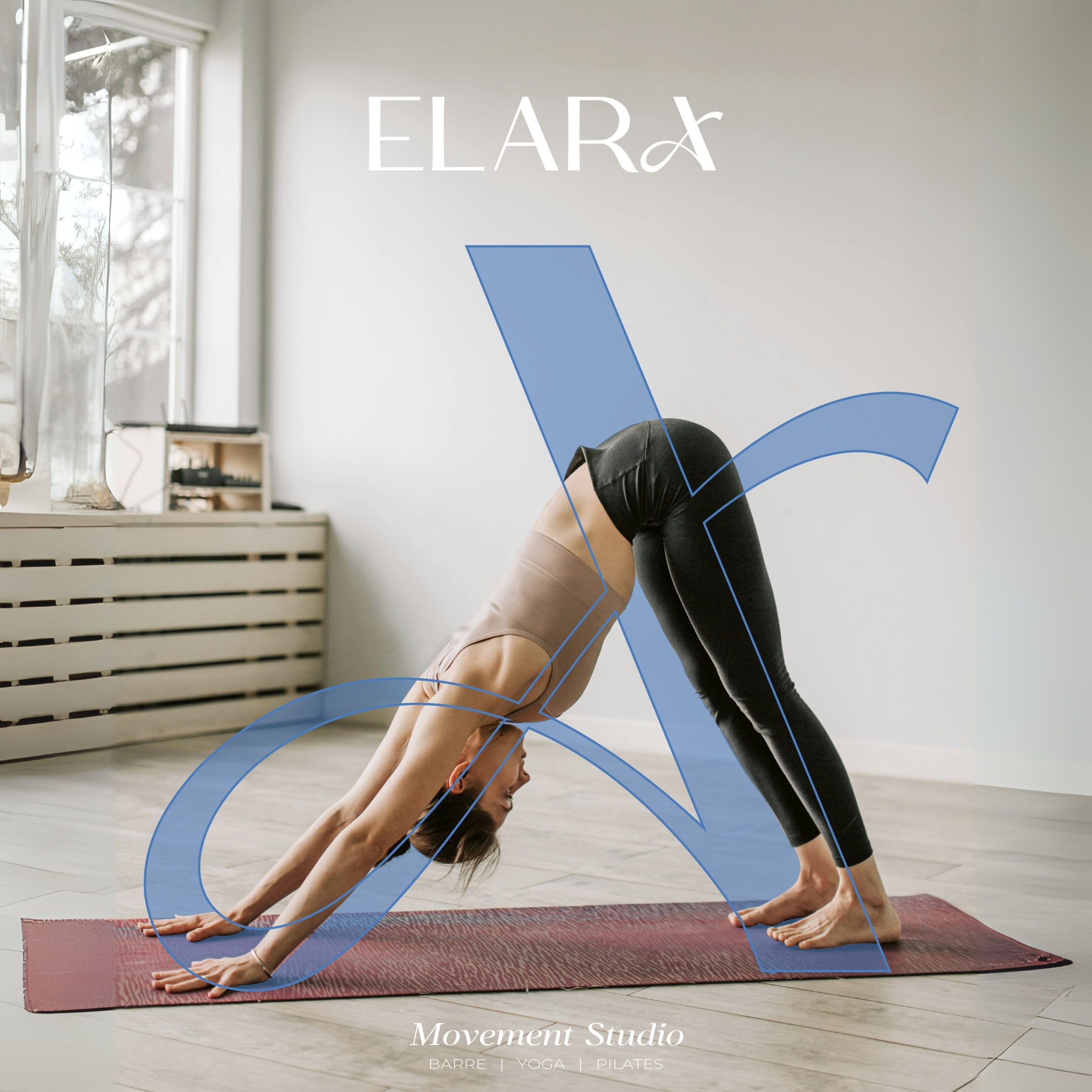 Proyecto Elara