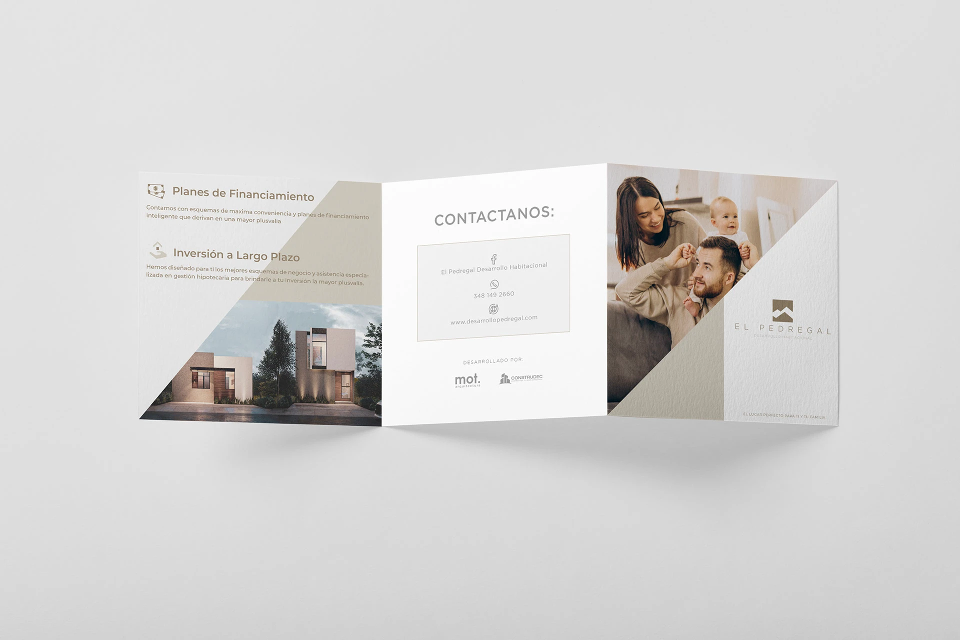 Proyecto Pedregal