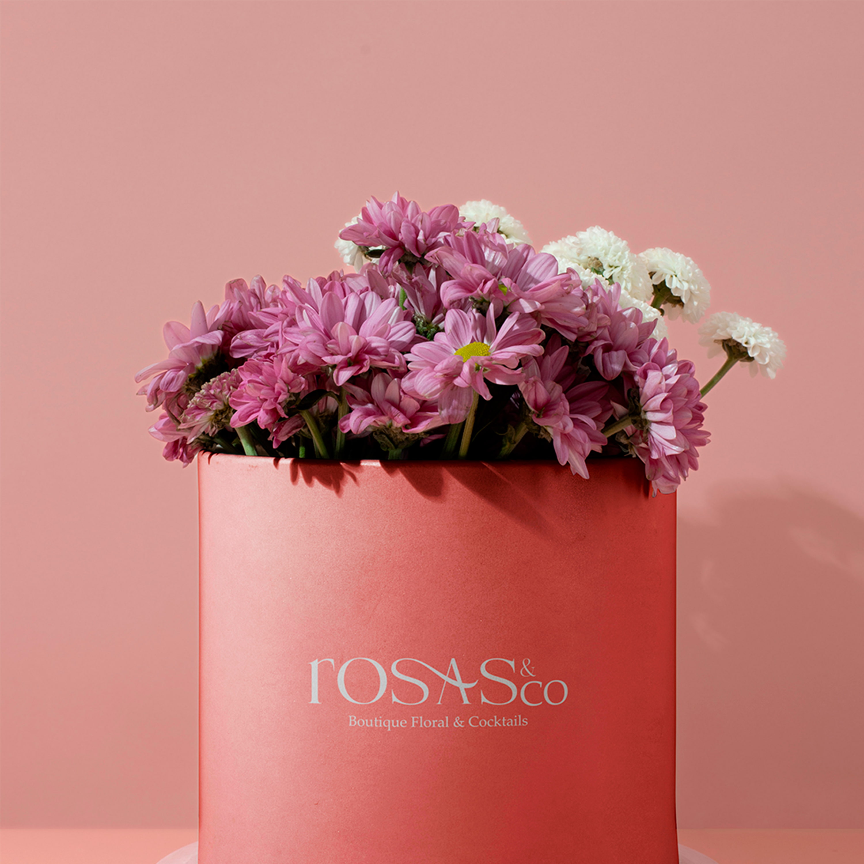 Proyecto Rosas Co